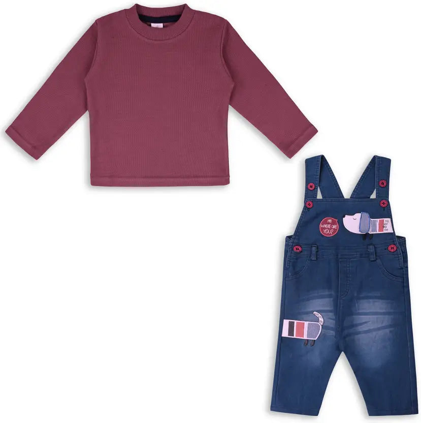 Boys Embroidered Cotton Tshirt Dungaree Set