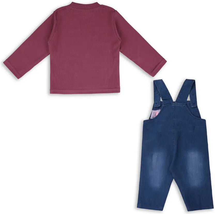 Boys Embroidered Cotton Tshirt Dungaree Set