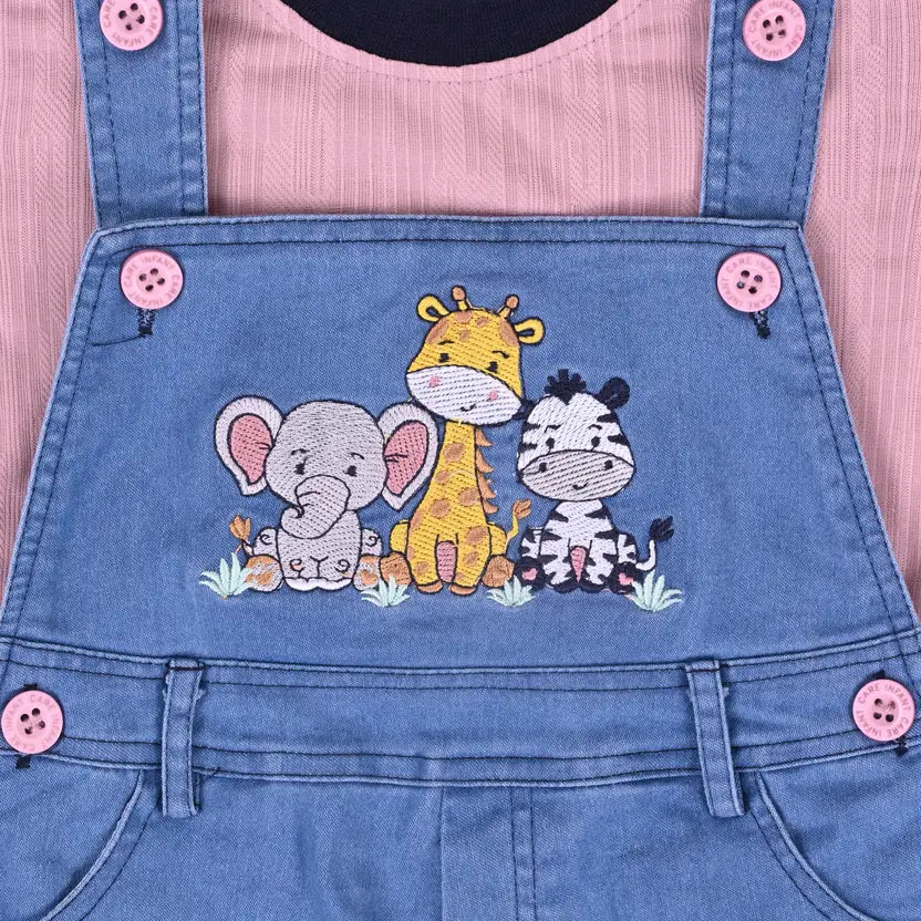 Boys Embroidered Cotton Tshirt Dungaree Set