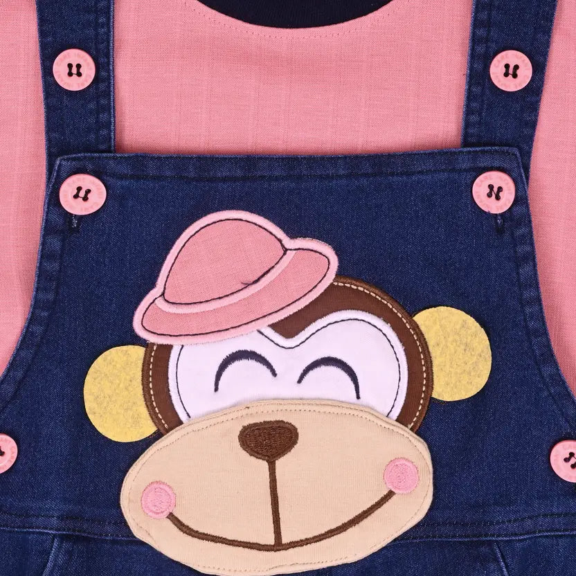 Boys Embroidered Cotton Tshirt Dungaree Set