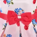 Girls Christmas Frocks Online | Party Wear Dresses for Baby Girls 2025