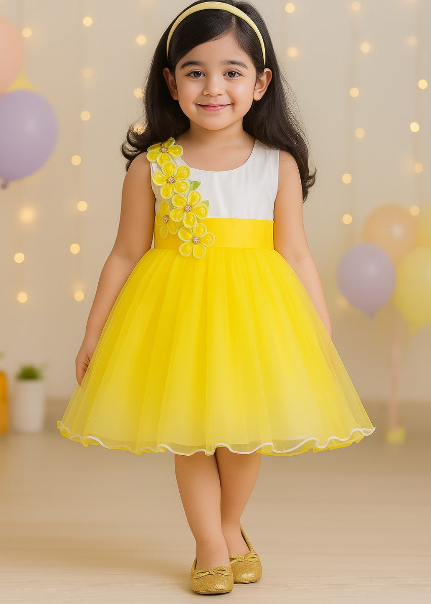 Girls Party Wear Net Flowers Frock