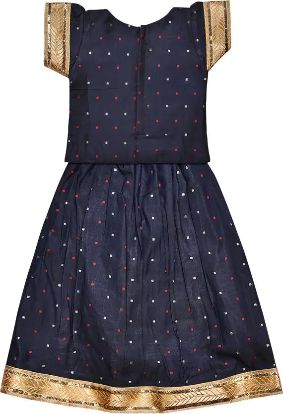 Girls Silk Lace Border Skirt and Top Set