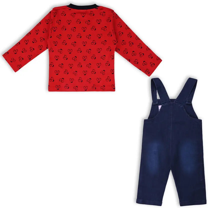 Boys Embroidered Cotton Tshirt Dungaree Set