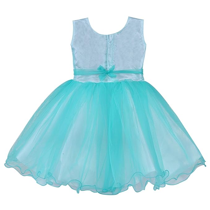 Girls Embroidered Sleeveless Net Dress
