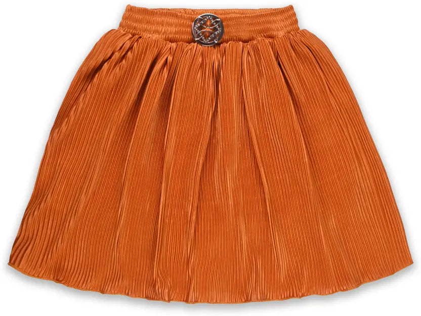Girls Pleated Style Mini Skirt