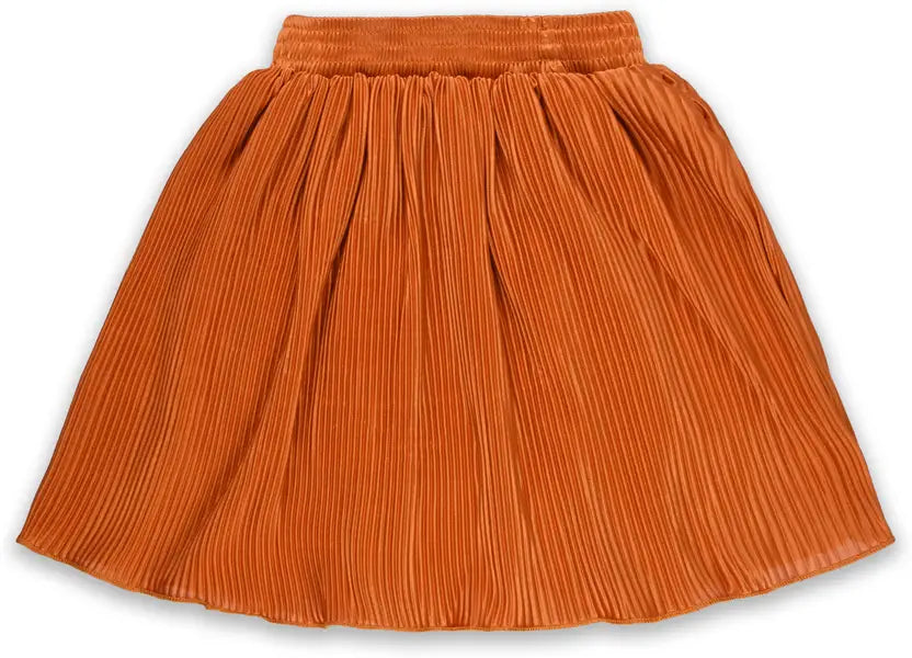 Girls Pleated Style Mini Skirt