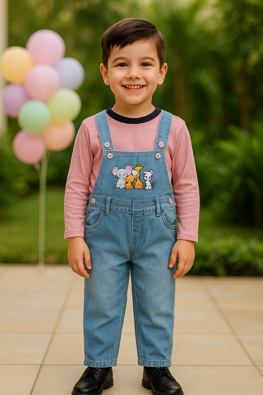 Boys Embroidered Cotton Tshirt Dungaree Set