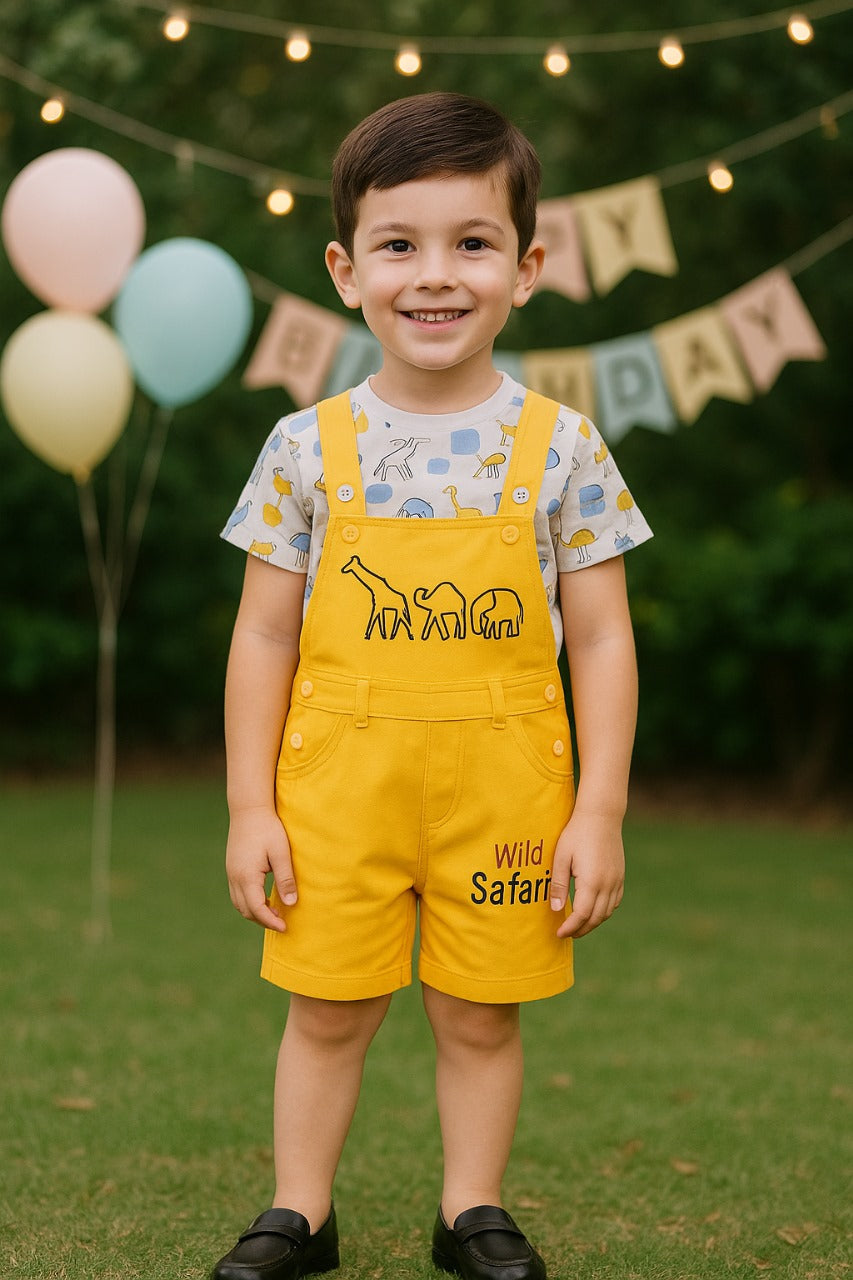 Boys T-shirt and Dungaree