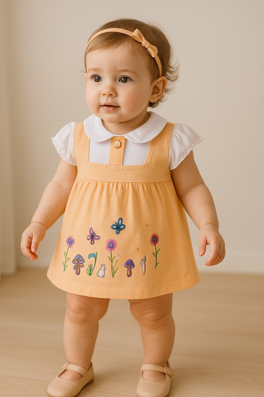 Girls Embroider Cotton A-Line short sleeve frock