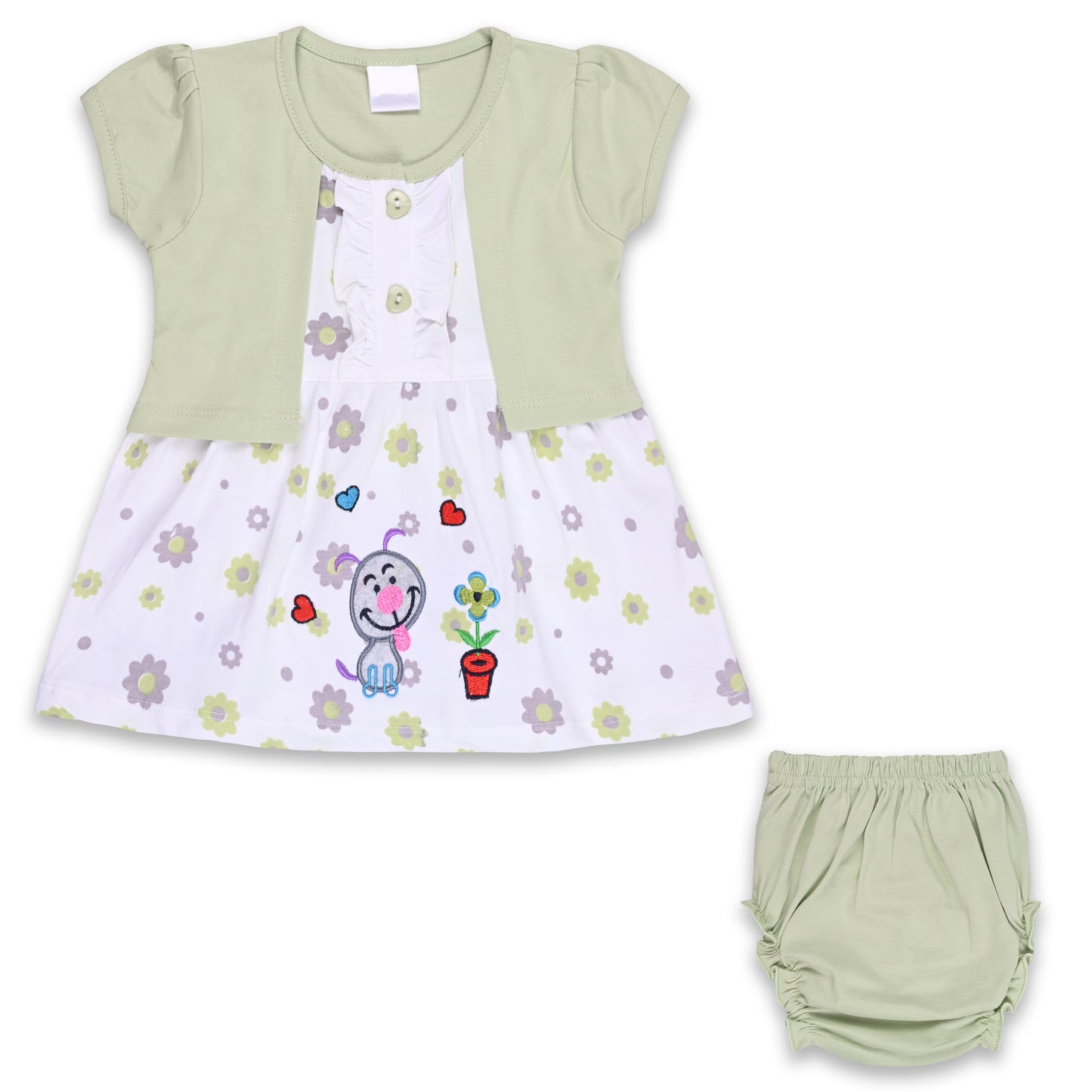 Girls Floral Print A-Line Frock Dress with Brief