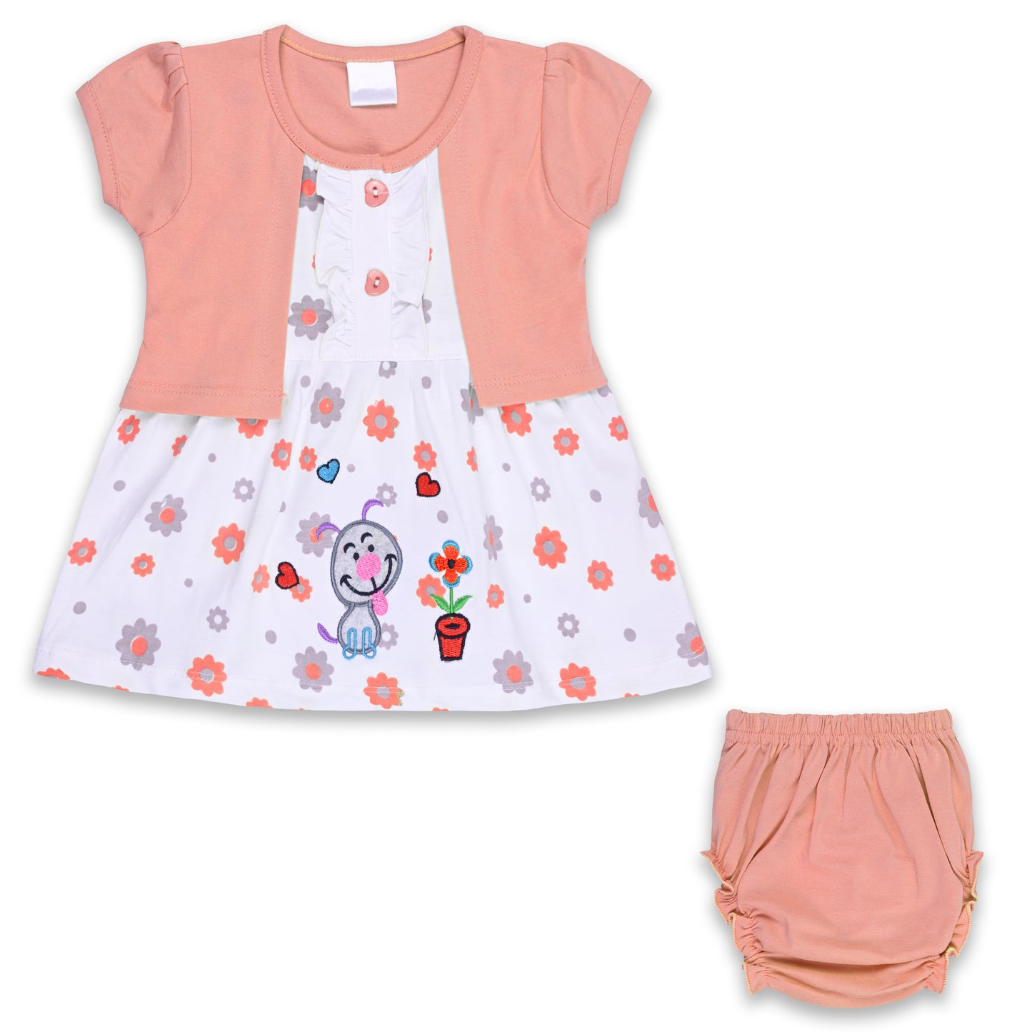 Girls Floral Print A-Line Frock Dress with Brief