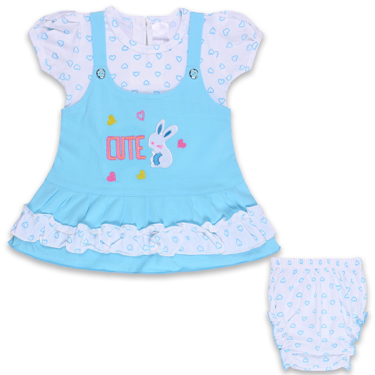 Baby Girls Printed A-Line Frock Dress With Brief
