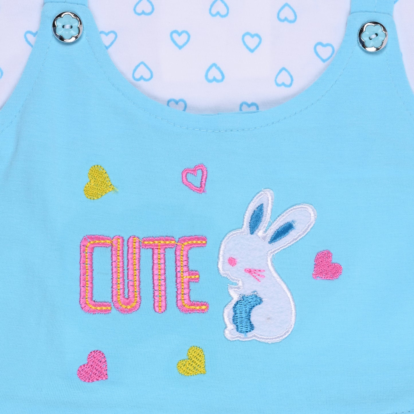 Baby Girls Printed A-Line Frock Dress With Brief