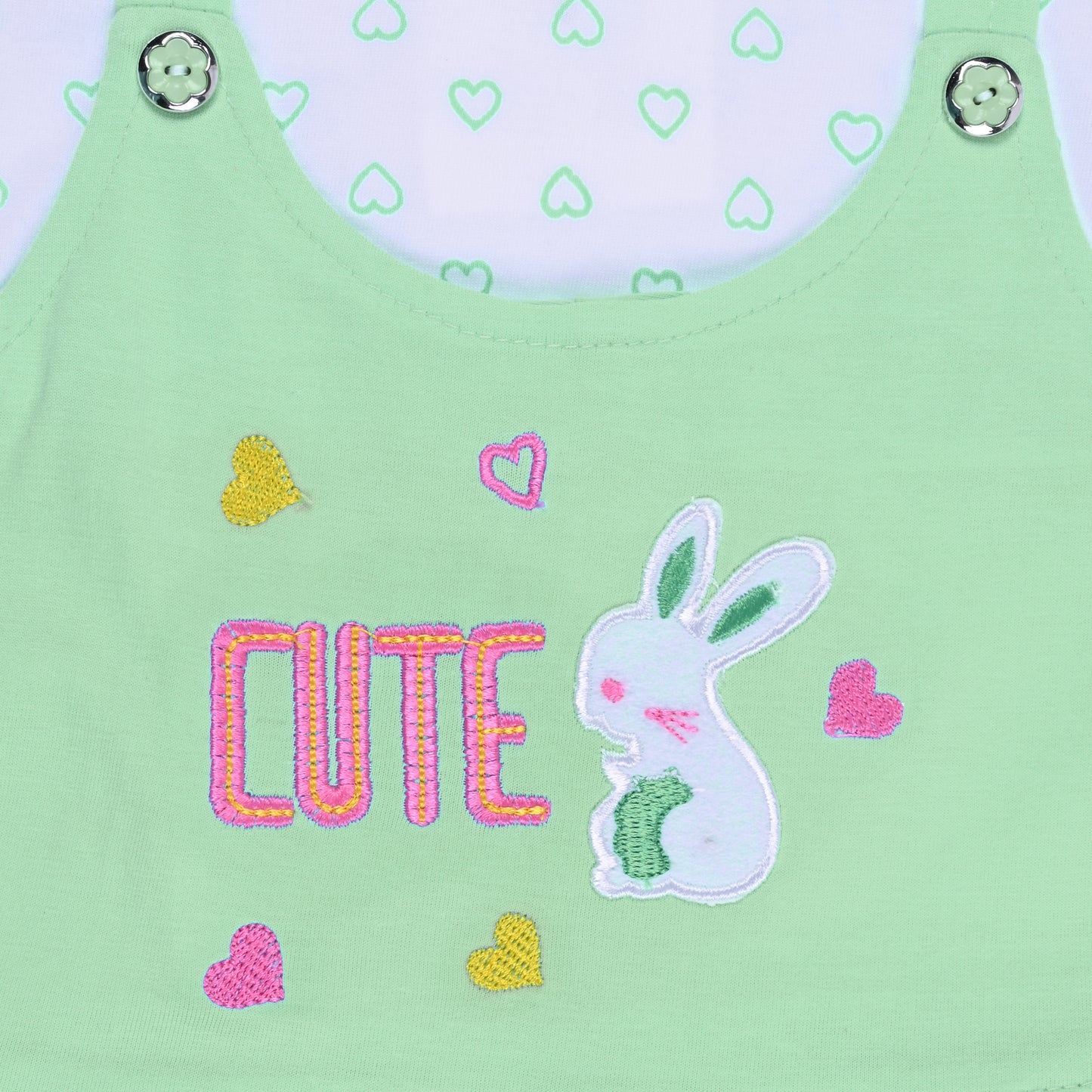 Baby Girls Printed A-Line Frock Dress With Brief