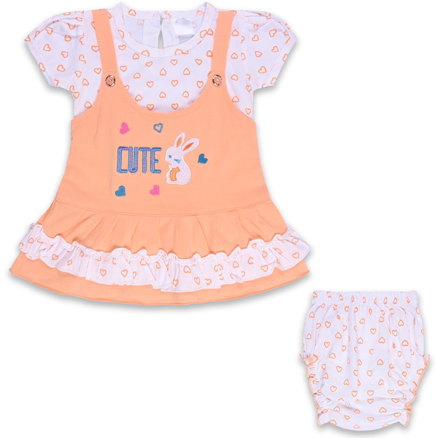 Baby Girls Printed A-Line Frock Dress With Brief