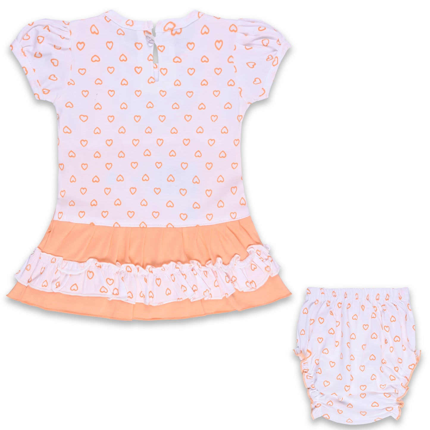 Baby Girls Printed A-Line Frock Dress With Brief