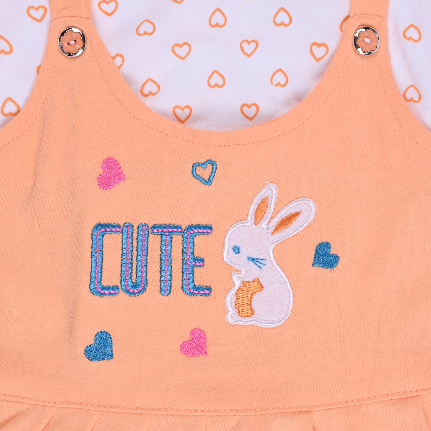 Baby Girls Printed A-Line Frock Dress With Brief