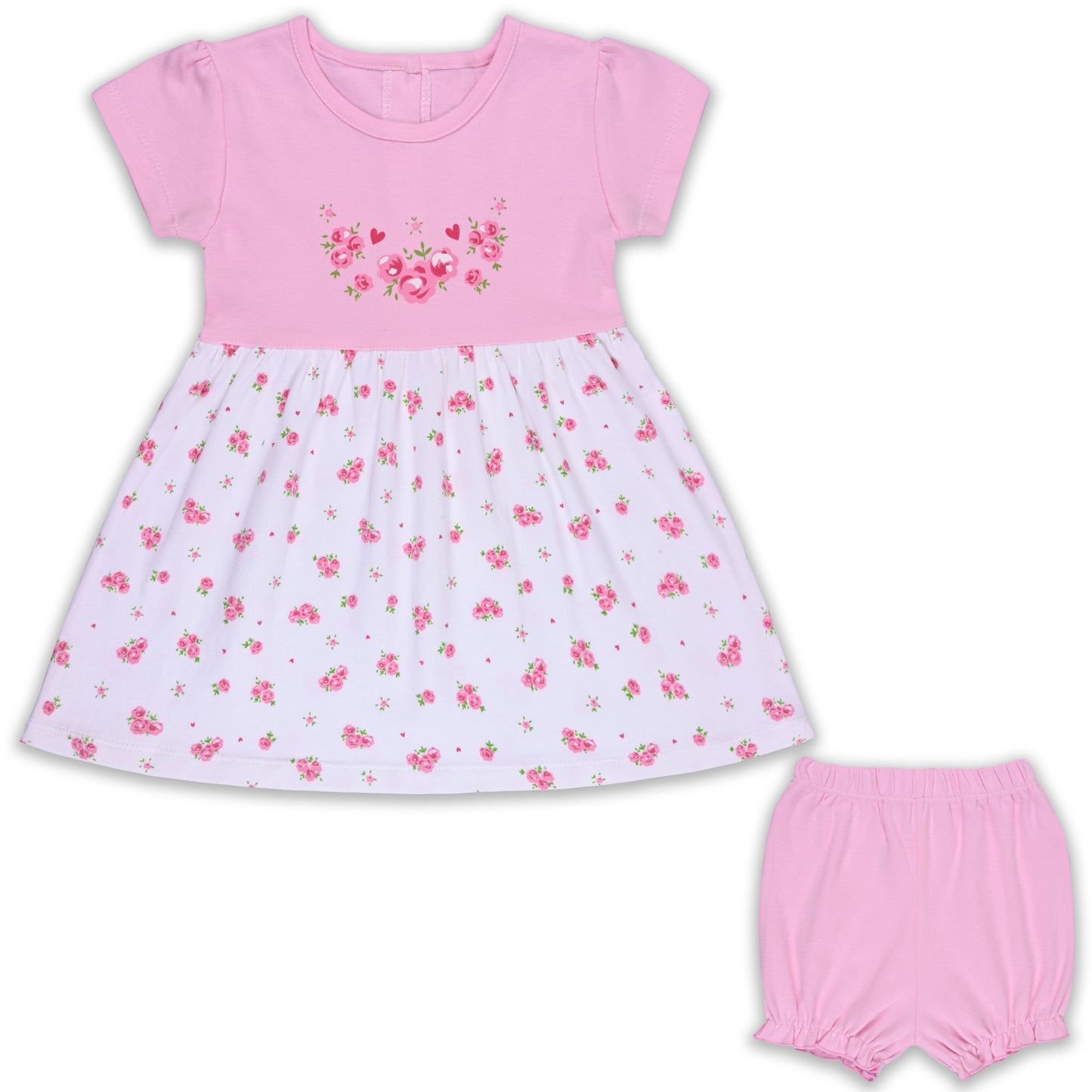 Baby Girls Floral Print A-Line Frock Dress With Brief