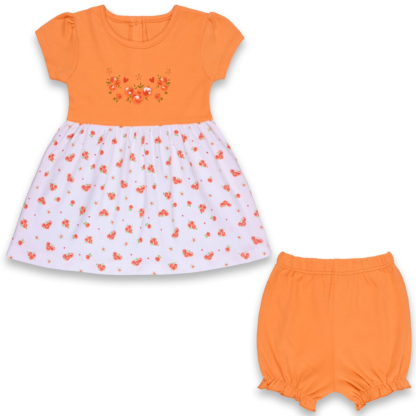 Baby Girls Floral Print A-Line Frock Dress With Brief