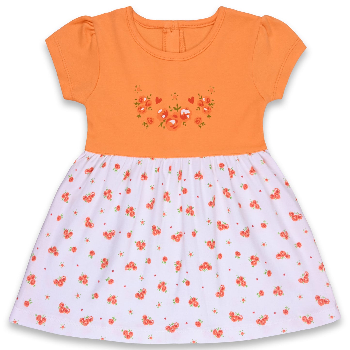 Baby Girls Floral Print A-Line Frock Dress With Brief