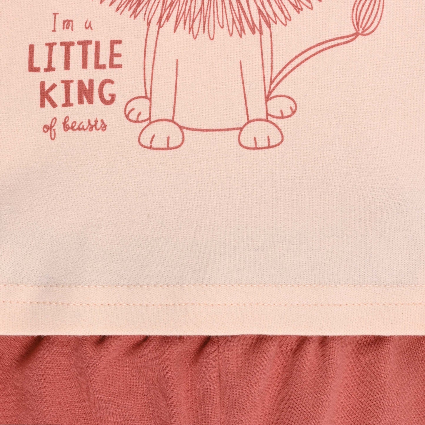 Boys Printed Cotton Tshirt and Shorts Set