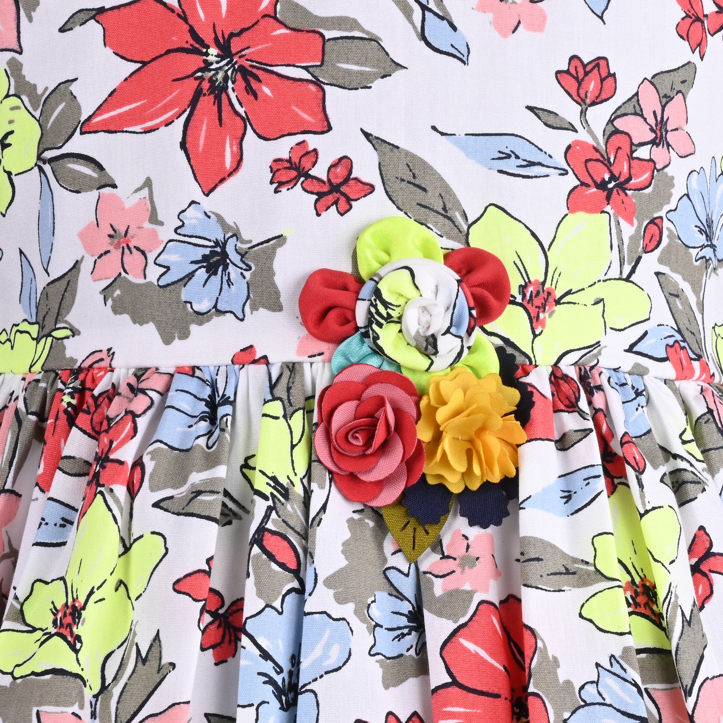 Girls Floral Print A-Line Frock Dress