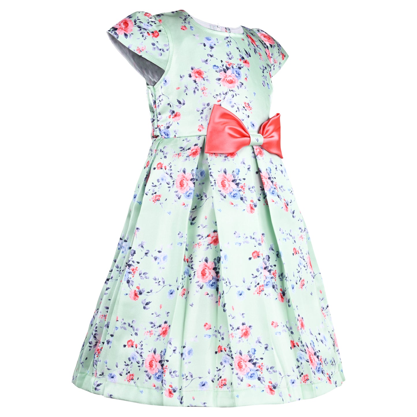 Girls Floral Print A-Line Frock Dress