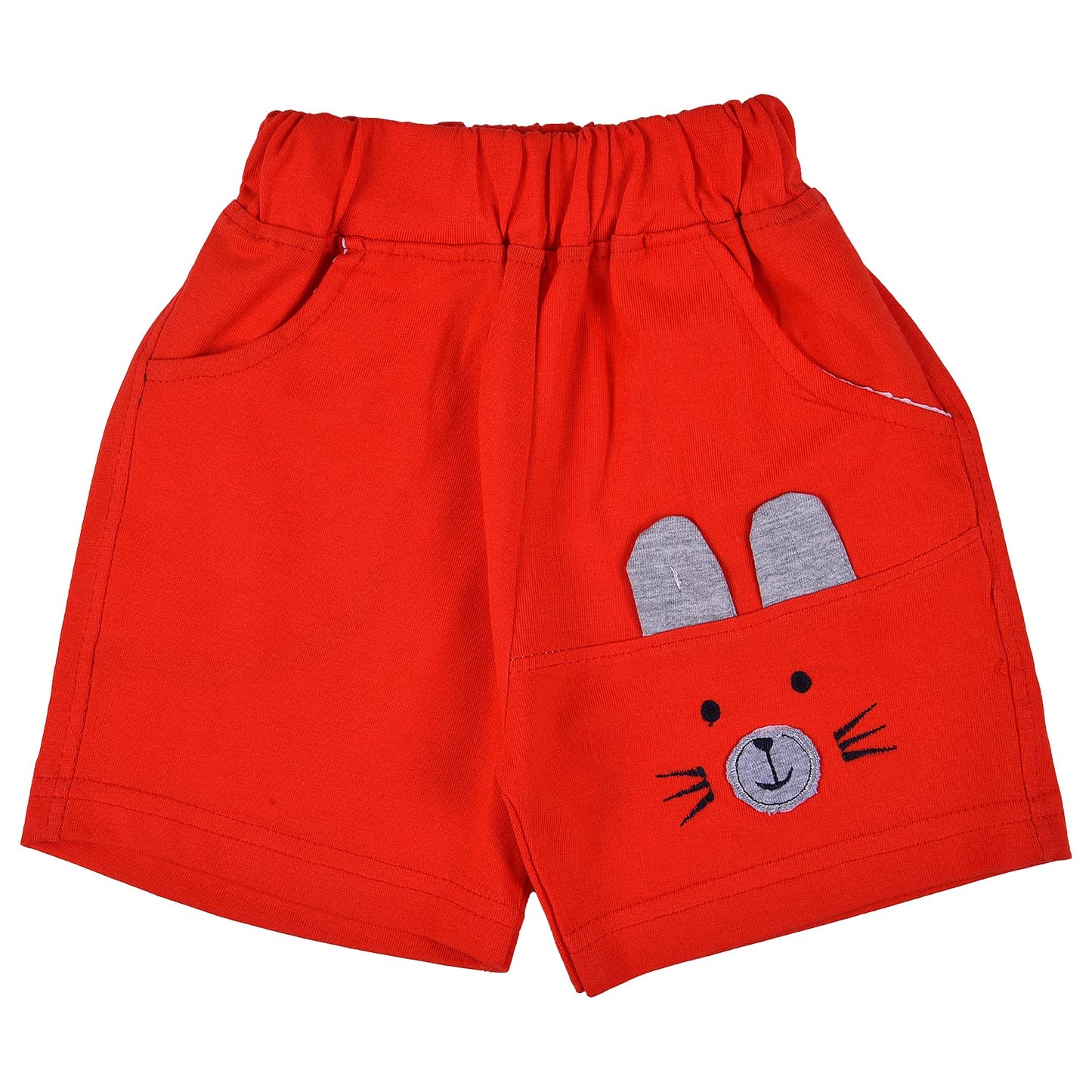 Wish Karo Baby Boys T-Shirt And Short For Boys-(bt105rd)