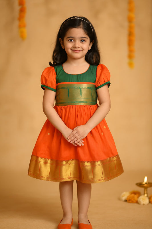 Girls Traditional Zari Border Ethnic Dress