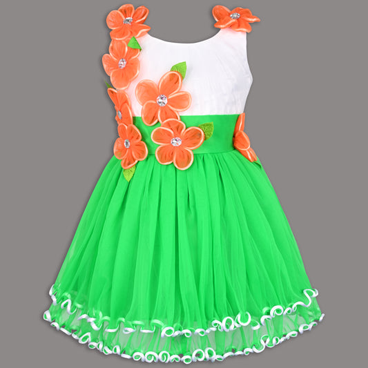 Girls Floral Applique Tricolor Republic Day Special Dress