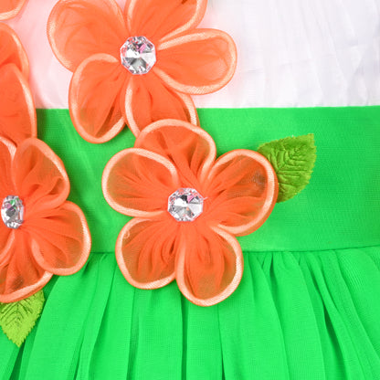 Girls Floral Applique Tricolor Independence Day Special Dress