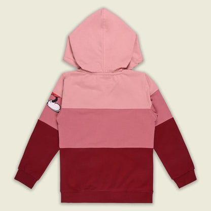 Boys Cotton Blend Disney Hoodie | Mickey Mouse Printed Hooded Sweatshirt with Kangaroo Pocket