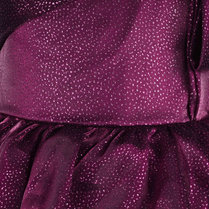 Girls Princess Flared Glittery Party Dress