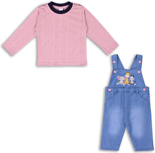 Boys Embroidered Cotton Tshirt Dungaree Set