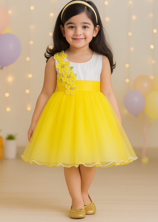 Girls Party Wear Net Flowers Frock