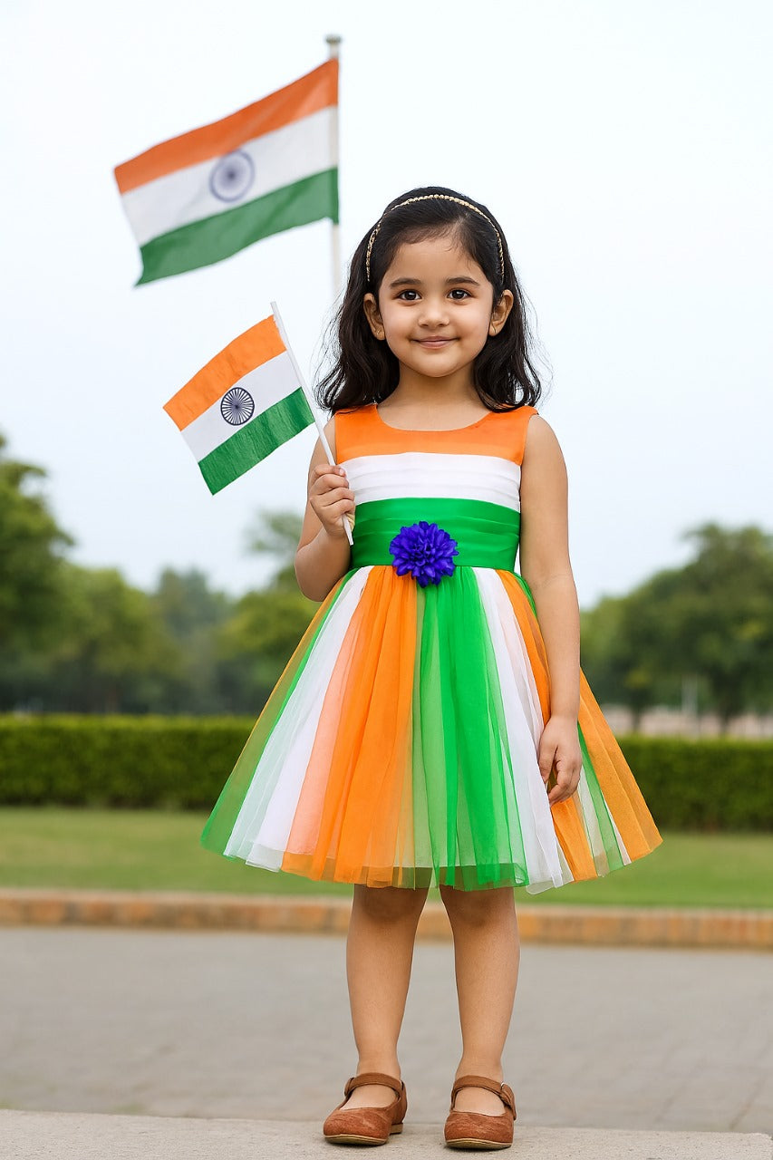 Girls Tri-Color Pleated Dress