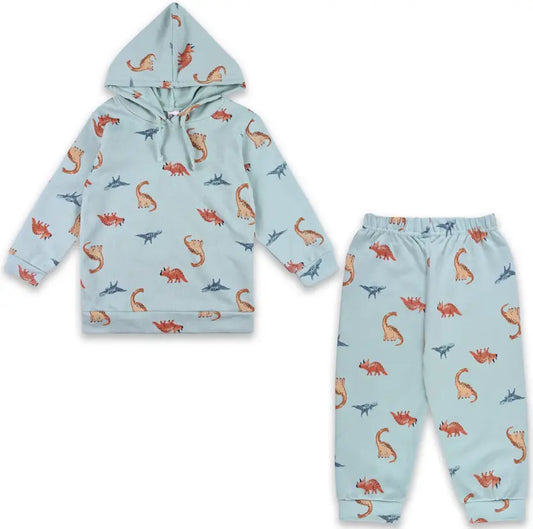 Boys Cartoon Print Hoodie and Trouser Set
