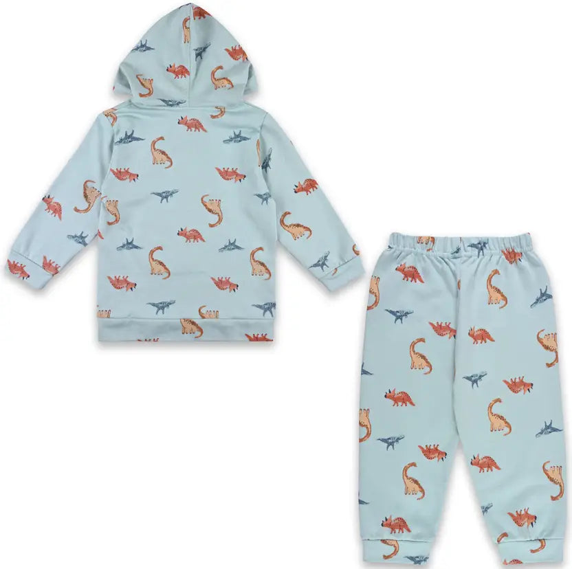 Boys Cartoon Print Hoodie and Trouser Set
