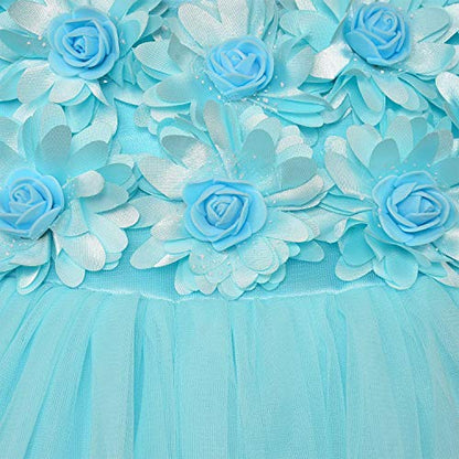 Girls Flower Detailed Net Dress