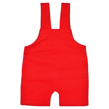 Boys T-shirt and Dungaree Set