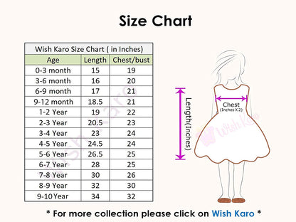 Premium Baby Girls Birthday Dresses Online | Girls Knee-Length Dress