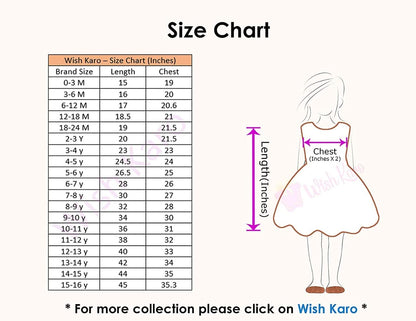 Girls Embroidered Ethnic Dress