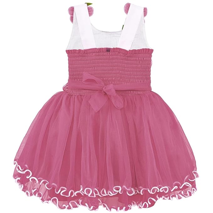 Girls Knee Length A-Line Frock Dress