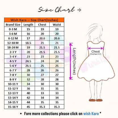 Baby Girls Knee Length Frock Dress