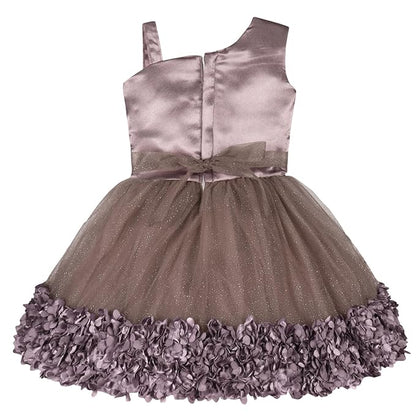 Girls Satin Flower Detailing Net Dress