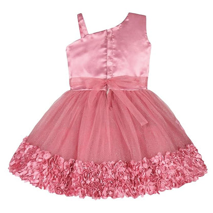 Girls Satin Flower Detailing Net Dress