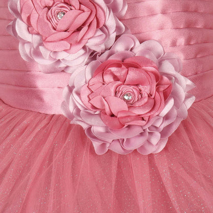 Girls Satin Flower Detailing Net Dress