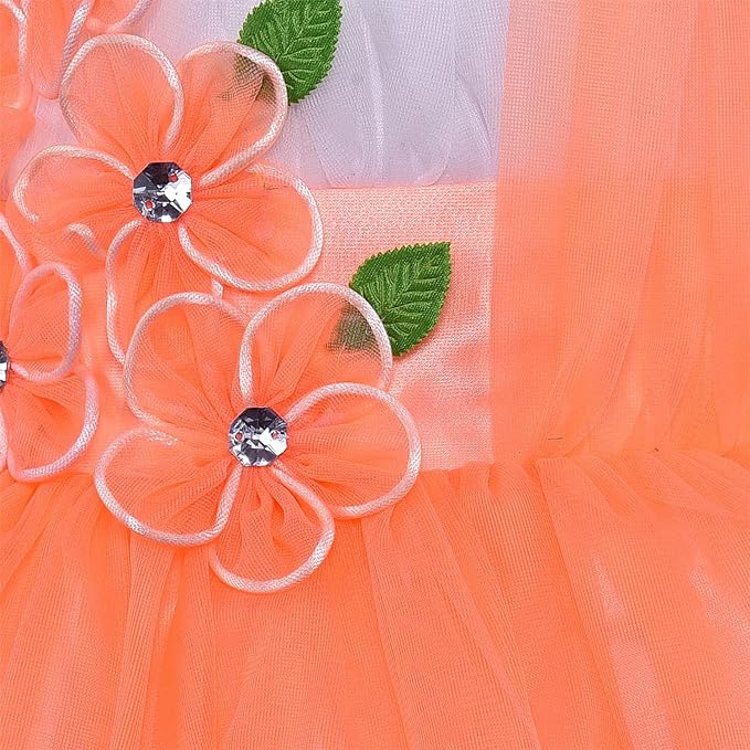 Girls Knee Length A-Line Frock Dress