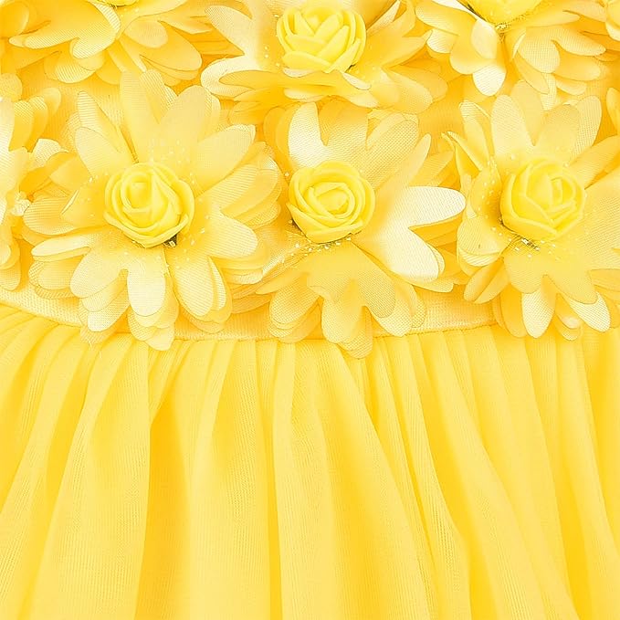 Girls Flower Detailed Net Dress